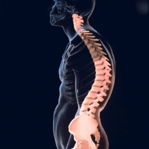 Corector de Postură inteligent 1 + 1 GRATIS